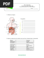 A.2.1 - Sistema digestivo humano - Ficha de trabalho (1).pdf