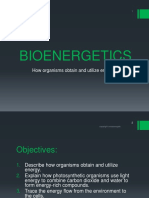 Bio Energetics