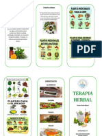 Terapia Herbal