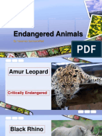 Endangered Animals: by Yasaman Samsamirad
