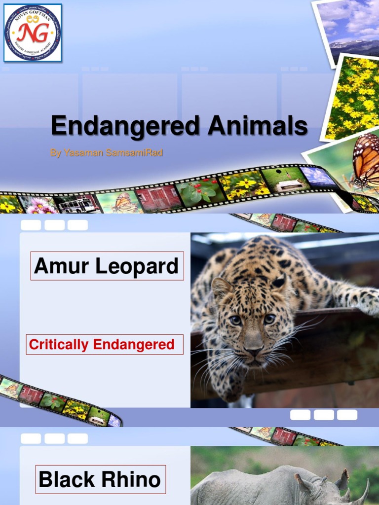 Endangered Animals Overview 2017 | PDF