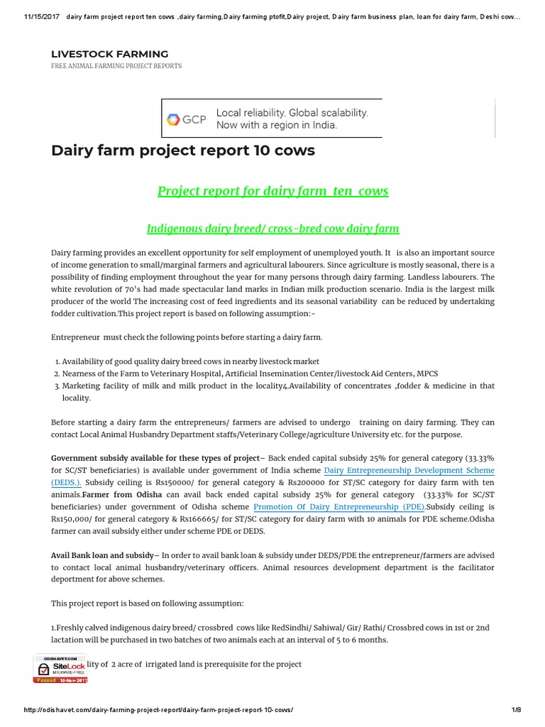 10 Cow Dairy Farm Project Report | PDF | Dairy Cattle | Dairy Farming