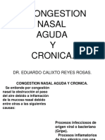 Congestión nasal aguda y crónica: causas, gripe y rinitis alérgica