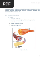 Sistem Otot (Czh)