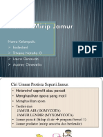 Protista Mirip Jamur