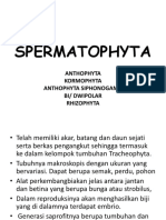 SPERMATOPHYTA
