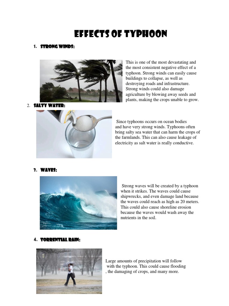 Effects of Typhoon PDF Flood Wound