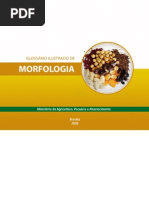Download Glossario Ilustrado de Morfologia by Eduardo Neves SN36531666 doc pdf