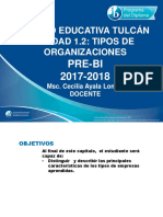 1.2 Tipo de Organizaciones PRE BI 2017 01 (1)