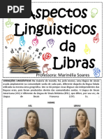 parametros da libras.pdf