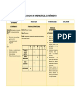 Plan de Cuidados de Enfermería Entreñimiento