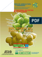 Guía Técnica Del Cultivo Del Coco