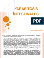 Parasitosisintestinales 131115052139 Phpapp01 (1)