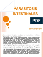 Parasitosisintestinales 131115052139 Phpapp01