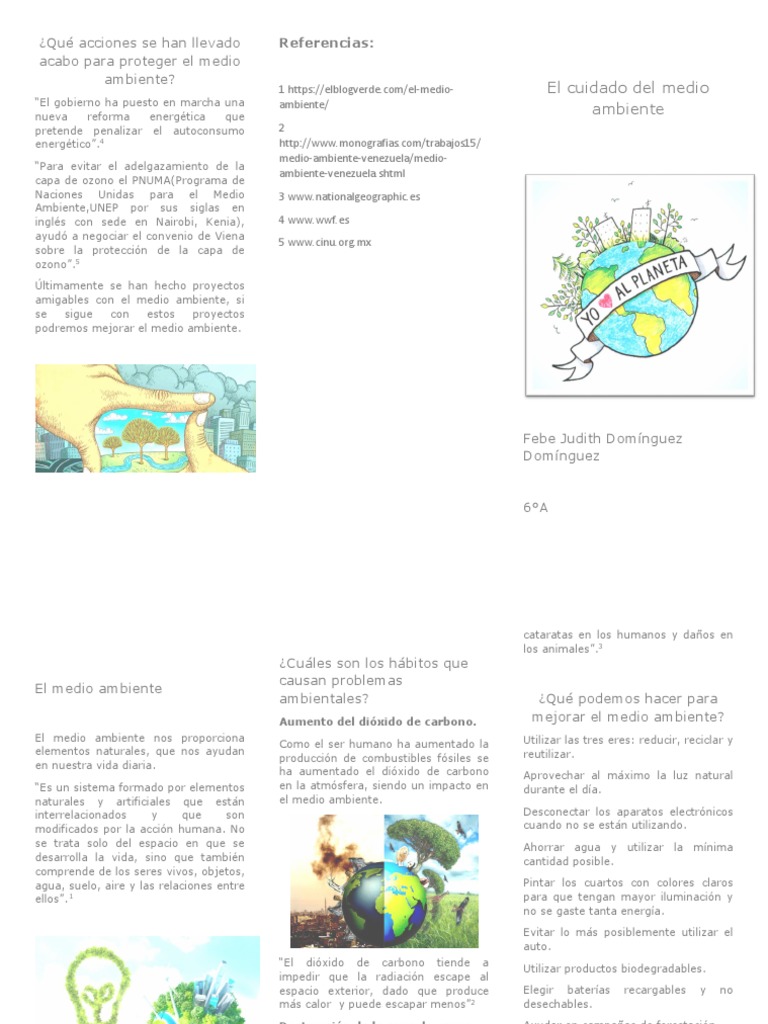 El Cuidado Del Medio Ambiente | PDF | Ozono | Contaminación