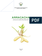 MANUAL DE ARRACACHA 02-12-2009.pdf