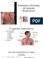 Anatomía y Fisiología Del Aparato Respiratorio Exposicion (1)