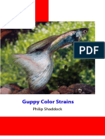 Guppy_Colour_Strain_By_Philip_Shaddock (1).pdf