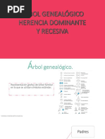 Arbol genealogico