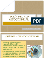 Teoría del ADN Mitocondrial.pptx