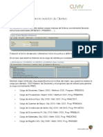 LSMW_creacion_cliente.pdf