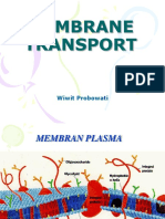 Transport Membran