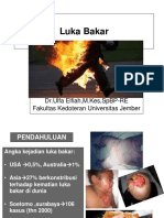 Luka Bakar by DR Ulfa