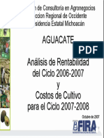 AGUACATE Michoacan - Rentabilidad 2006-2007 Costos 2007-2008