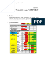 Dandy Walker Malformation