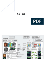 Oct Ngm2017