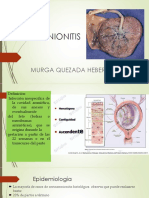 Corioaminitis 14