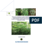 Mengenal Jenis Tumbuhan Paku Hutan Payahe (Compres)