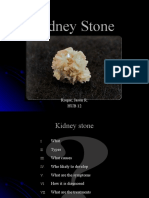 Kidney Stone