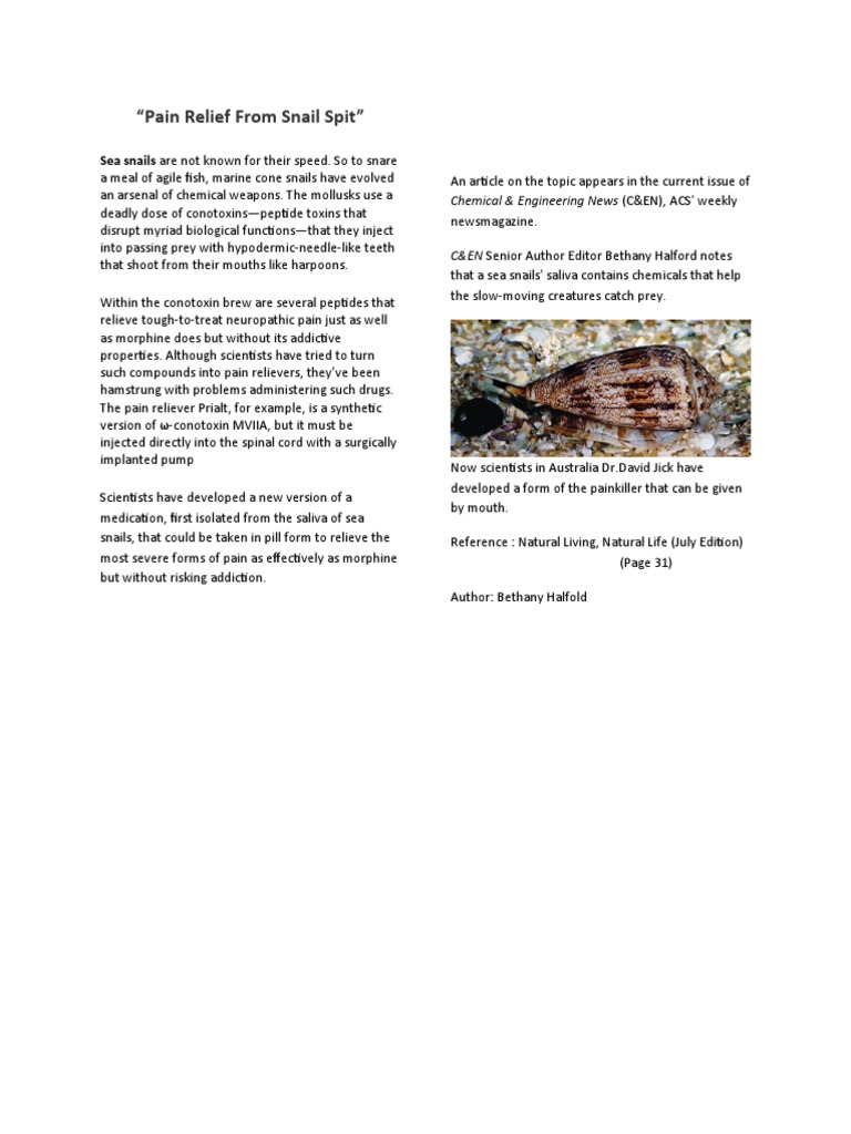 Snail Saliva: A New Pain Reliever | PDF