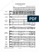 IMSLP133084-PMLP92890-Richard Strauss - Liebeshymnus PDF