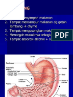 Pencernaan 2