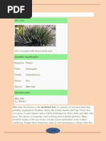 Download Aloe Vera by januppriya SN36538425 doc pdf