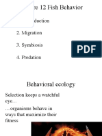 12 Behavior of Fish