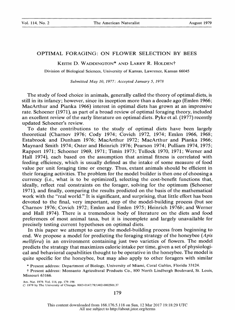 Optimal Foraging Strategies of Bees | PDF | Foraging | Honey Bee