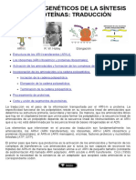 10-Procesos Genéticos de La Síntesis de Proteínas-La Traducción