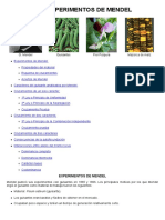 12-Los experimentos de Mendel.pdf