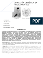 19-La recombinación genética en procariontes.pdf