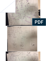 Evolution Connections Map - Student Artifacts