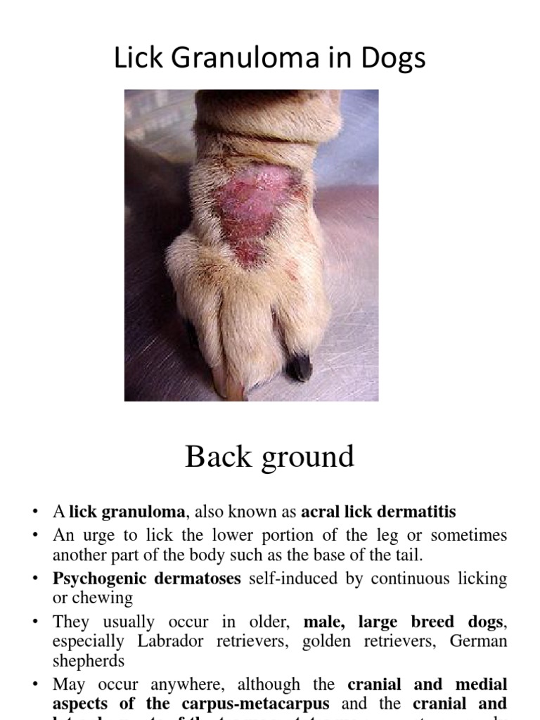 Dog Lick Granuloma Treatment PDF