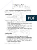 1 Pauta - Bernoulli + Modif PDF