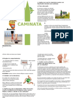 Especialidad de Caminata