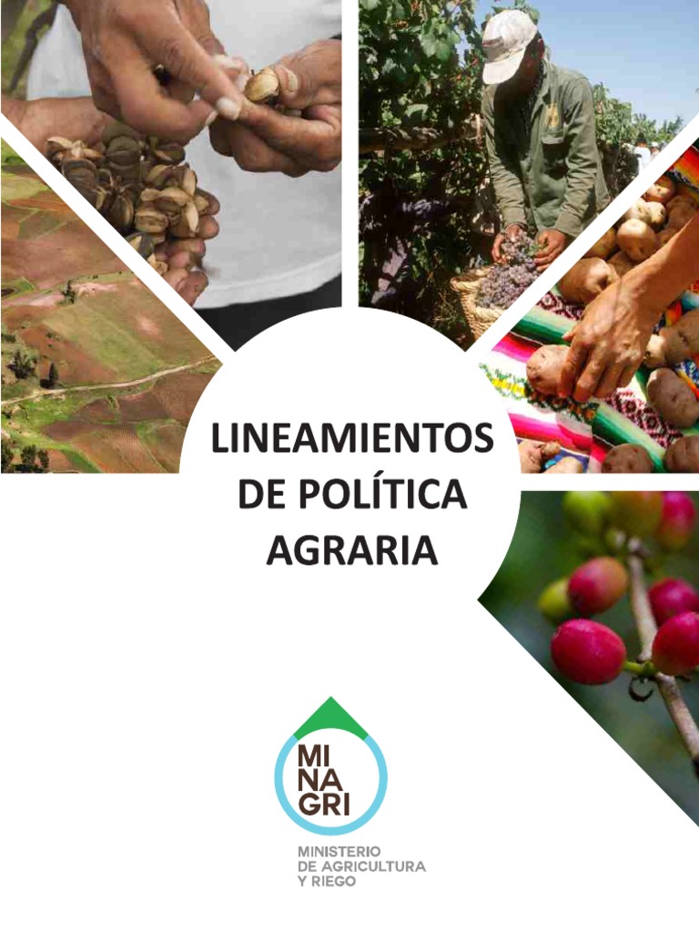 Lineamientos de Politica Agraria Agricultura Perú