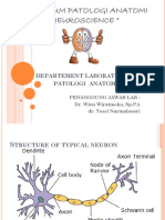 KBK SMSTR 4 Neuroscience