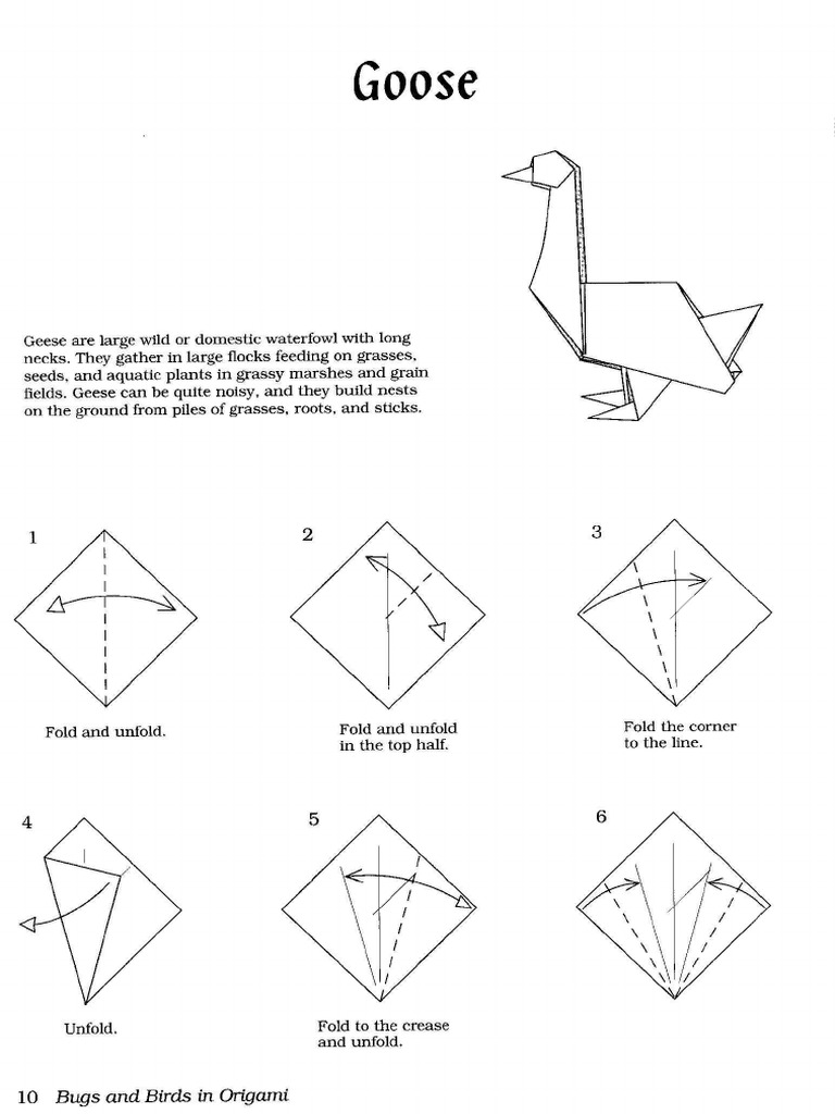 Origami Goose | PDF