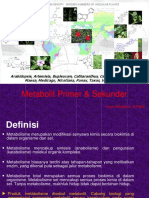 Pertemuan Ke - Metabolit Primer & Sekunder